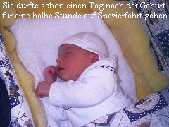 Sie durfte schon einen Tag nach der Geburt
f�r eine halbe Stunde auf Spazierfahrt gehen
